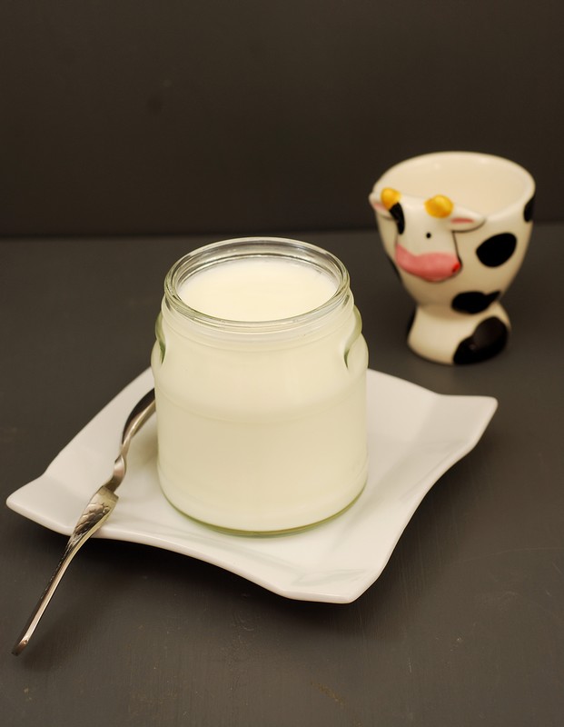 Ocho yogurteras con las que preparar deliciosos yogures caseros
