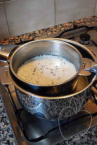 Helado de arroz con leche (1)