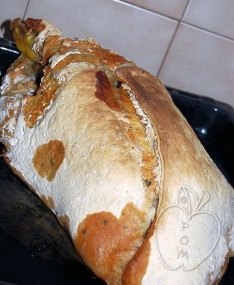 Pollo en costra de pan (35)