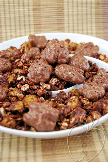 Granola chocolateado de nueces al chocolate (1)