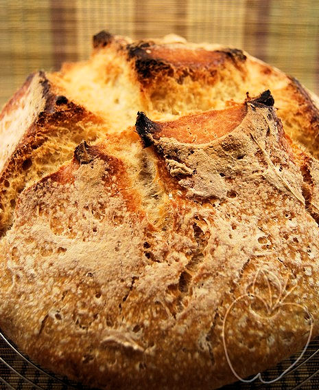 Pan de sémola de trigo (2)