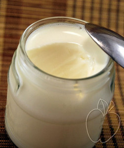 Yogur de leche condensada (8)